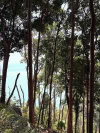 A Refreshing & Budget-Friendly Adventure – Tanjung Tuan Recreational Forest, Port Dickson