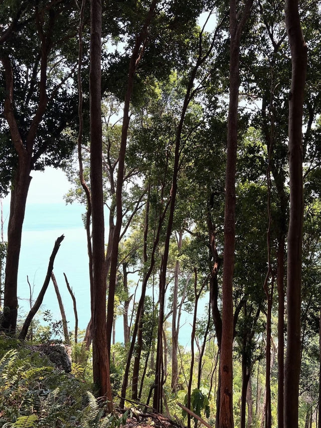 A Refreshing & Budget-Friendly Adventure – Tanjung Tuan Recreational Forest, Port Dickson