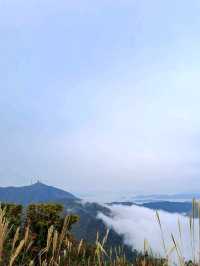 Forest Trails & Chill Peaks in Jangyu