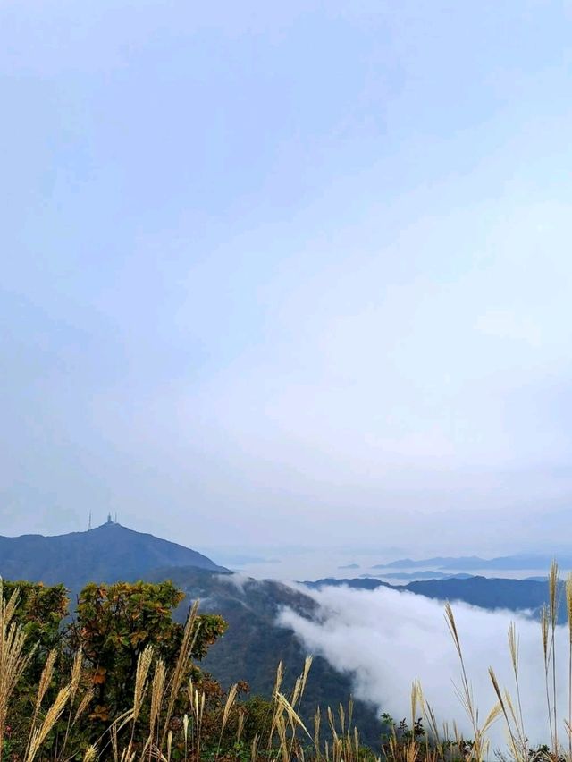 Forest Trails & Chill Peaks in Jangyu