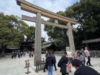 ⛩️ Shrine Among the Trees: Meiji Jingu’s Beauty Meets Tokyo’s Buzz 🌲