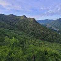 Big Views & Forest Feels in Hwangjangsan