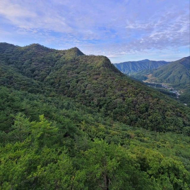 Big Views & Forest Feels in Hwangjangsan