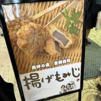 【広島/宮島🇯🇵】広島名物を食べよう🍁紅葉堂