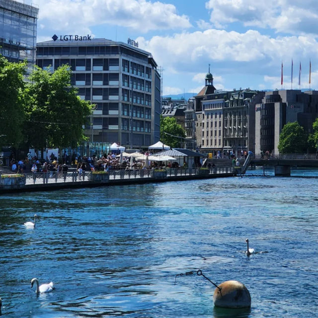 🇨🇭💙 Geneva in a Day: Lake Geneva Steals the Show!