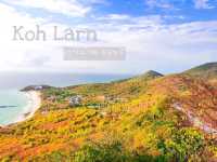 เกาะล้าน พัทยา