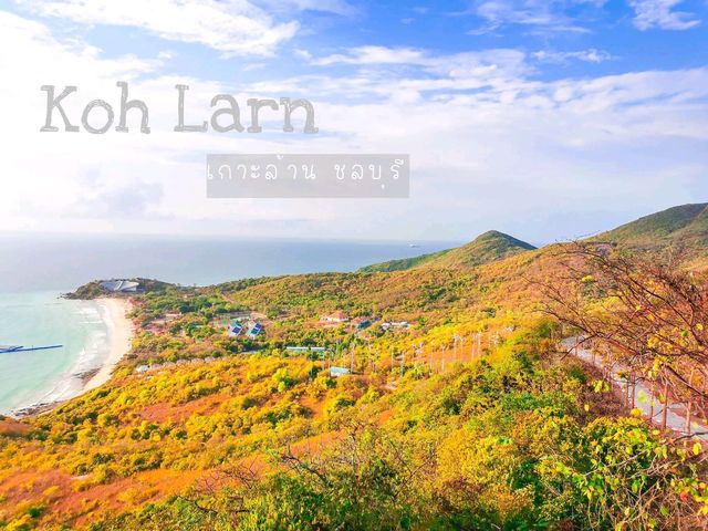 เกาะล้าน พัทยา