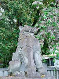 雲海と神秘に包まれる「三峯神社」で、心を整える山旅