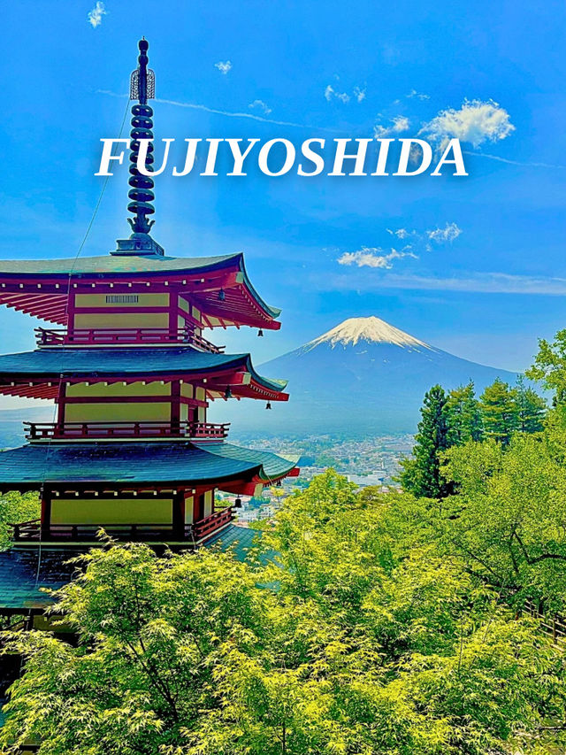 Mr.Fuji @Fujiyoshida 🇯🇵 