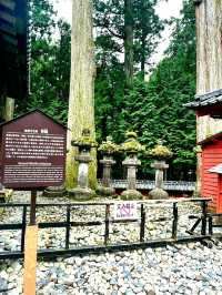 Unravelling the sacred animals inside the Toshogu Shrine