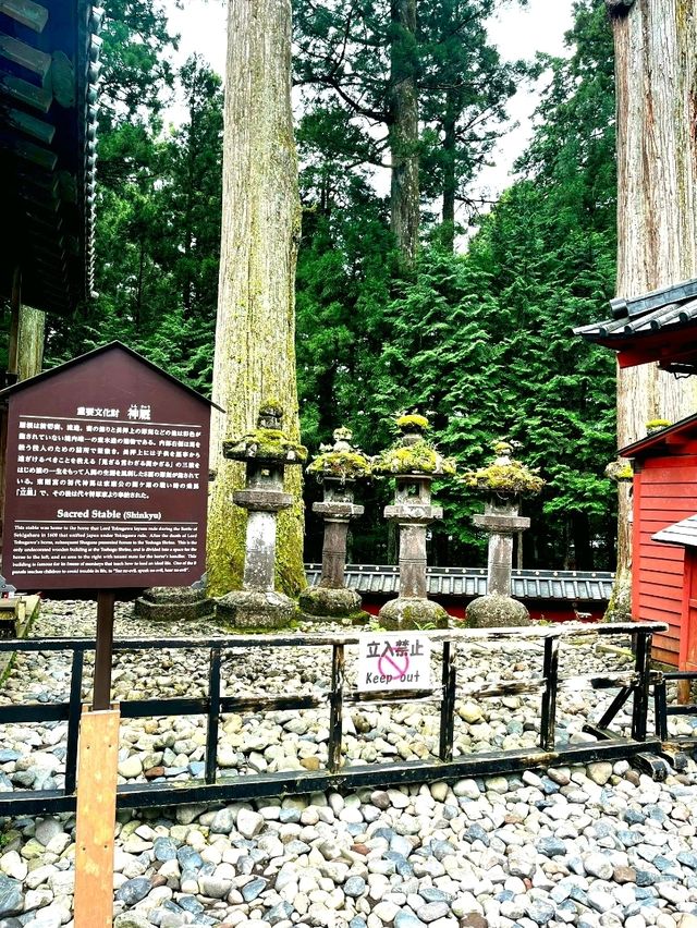 Unravelling the sacred animals inside the Toshogu Shrine