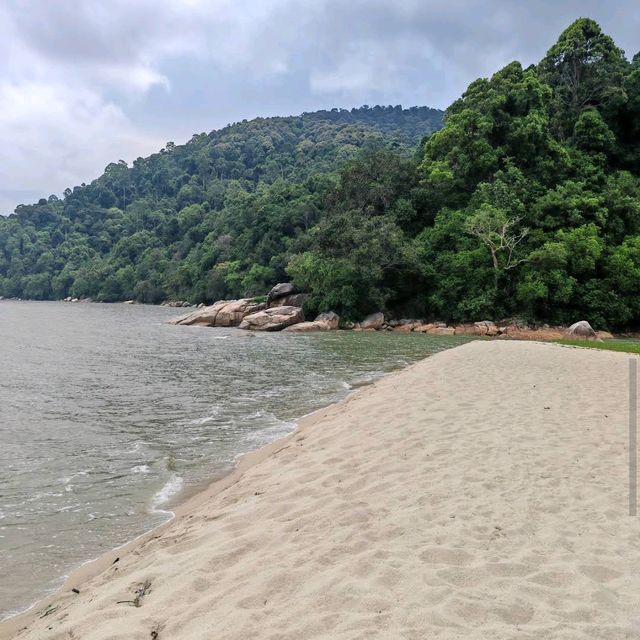 Penang National Park