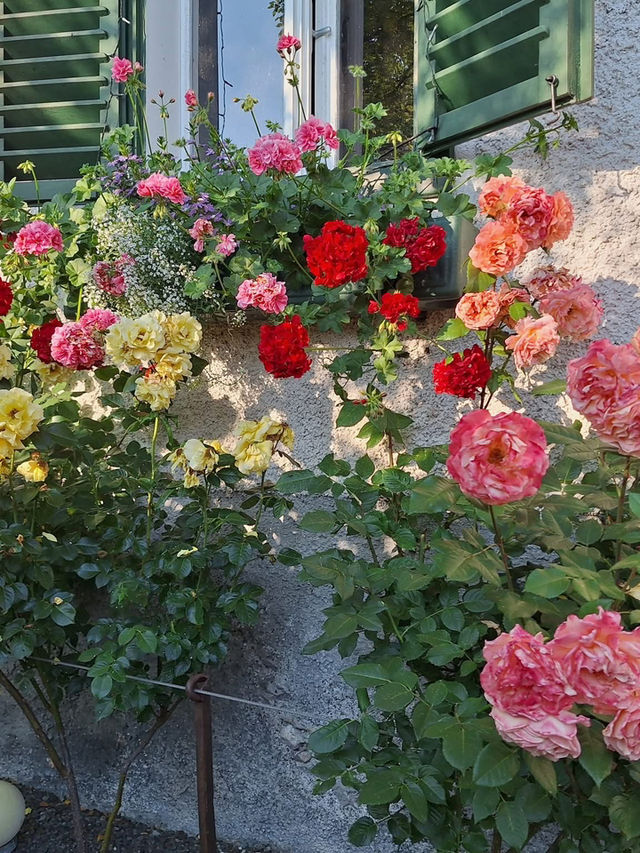 🌿 美しいヴェルター湖と歴史ある街並み、クラーゲンフルトで癒しの旅を✨