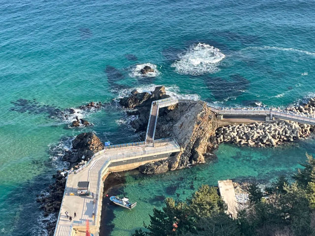 Jeongdongjin: Korea's East Coast Gem 🇰🇷🌊