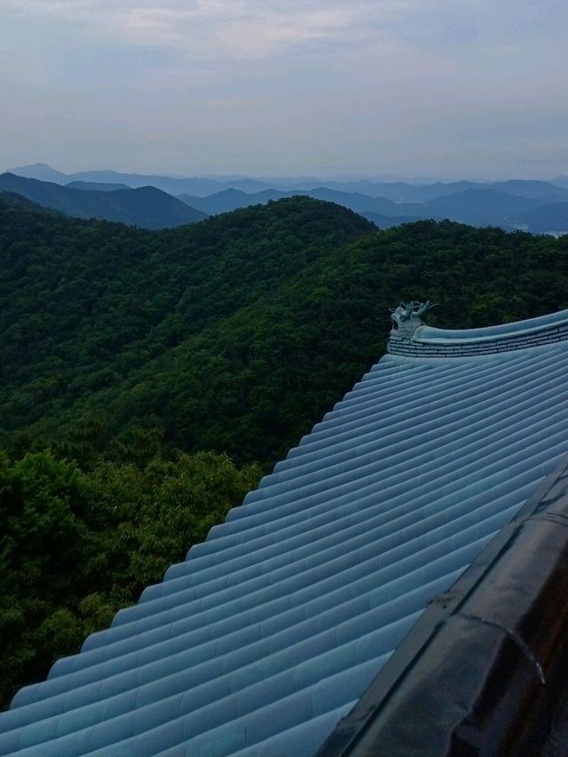 가족 나들이로 마음도 정리되는 시간👨‍👩‍👧‍👦