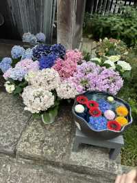 花手水と切り絵の御朱印が美しいお寺