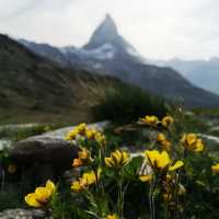 🏔️✨ Summer Weekend at the Matterhorn: Alpine Majesty & Adventure 