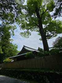 日本人一生必訪的心靈故鄉〔伊勢神宮〕⛩️✨