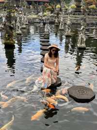 “Tirta Gangga: A Hidden Gem in East Bali You Need to See”