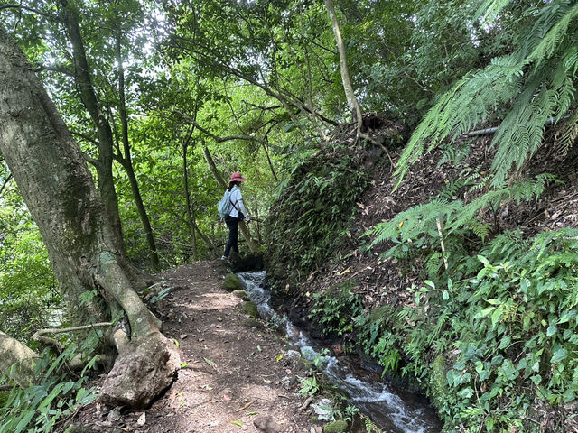 草山觀瀑吊橋。猴崁圳古道