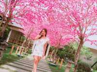 กาญจน์ มาชิ คาเฟ่ กาญจนบุรี