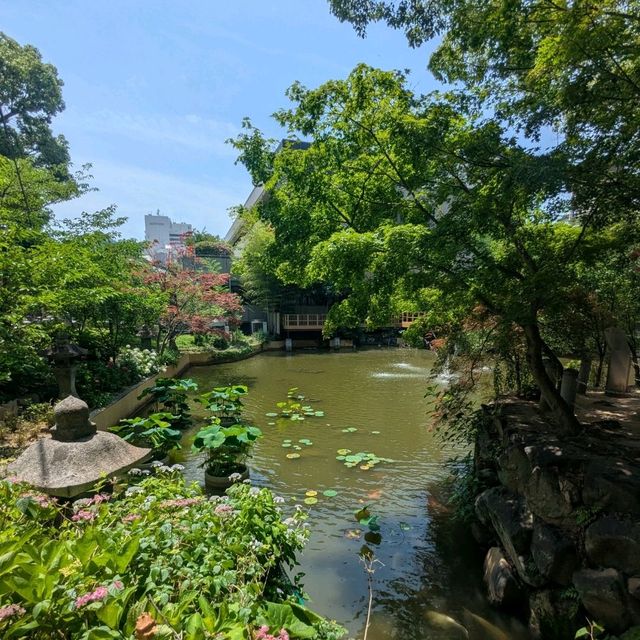 神戶 | 生田神社，祈求戀愛結緣的神社