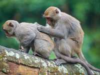 小孩放電、大人放鬆！這座動物園超乎你想像