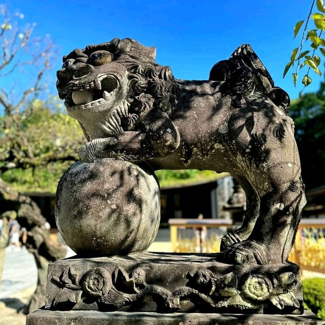 🙏ขอพรการศึกษาที่ Dazaizu Tenmangu⛩️