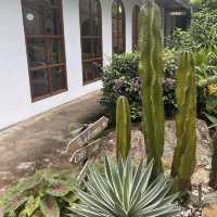 Coming Home Café & Seascape – ราไวย์ ภูเก็ต