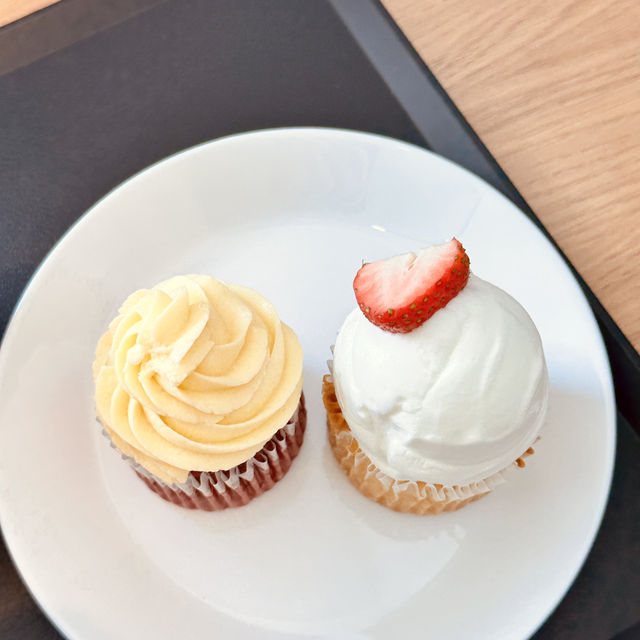 컵케이크가 맛있는 디저트 카페 티크 커피🧁