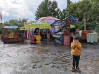 Pixar, Parades & Pure Joy: Adventure Park with My Mini Sidekick