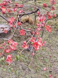 【三重】九華公園