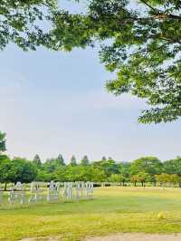 Eulsukdo Island Migratory Bird Park, Busan: A Haven for Wildlife and Nature Lovers