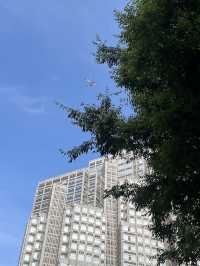 🏢【新宿都庁展望台】無料で東京の絶景を楽しめる穴場スポット！
