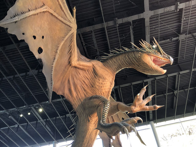Harry Potter Fans must GO