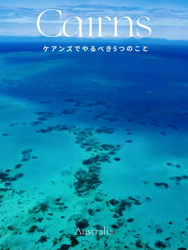 【保存版🇦🇺】ケアンズおすすめスポットBEST5🌿