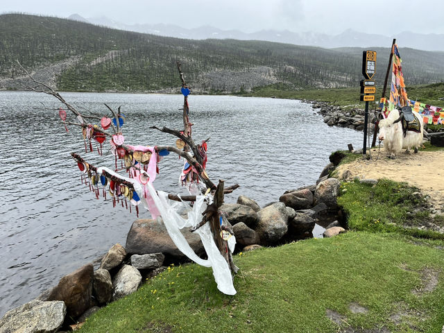 🌲🌊 Mugecuo Lake (木格措) — Highland Gem Near Kangding