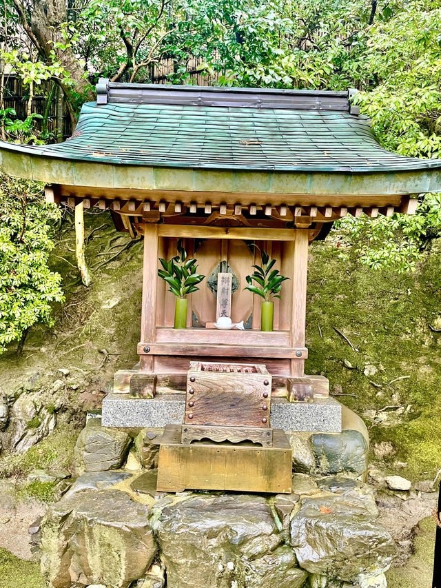 은빛보다 깊은 고요함✨ 교토 은각사 총정리