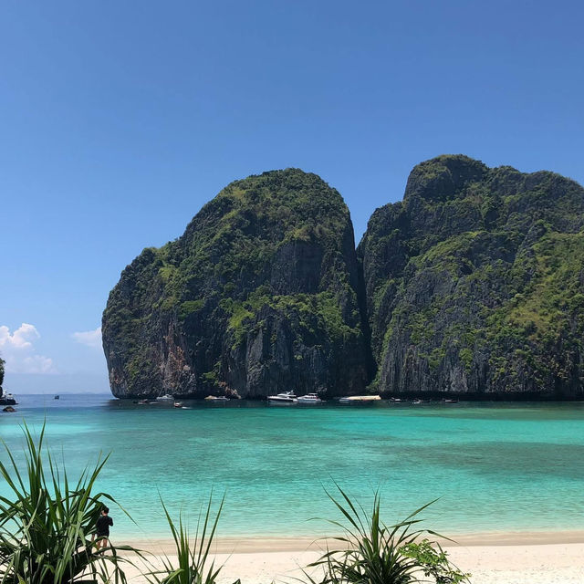 1 Day trip เกาะพีพี|กระบี่