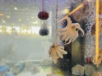 ร้านอาหารหมึกเมาคลื่น หาดกระทิงลาย