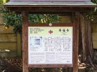 【神奈川県】 源氏のルーツを残す鎌倉五山の一寺『寿福寺』