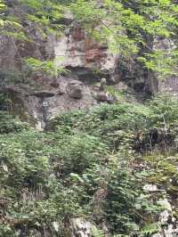 【香川県】金刀比羅宮の旅