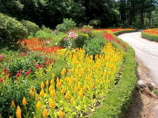 Garden of Morning Calm – A Serene Escape Near Seoul
