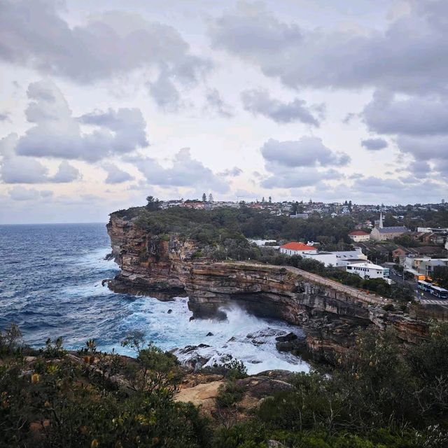 Watsons Bay & Gap Bluff