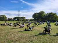 漫步大仙公園：大阪堺市綠意與文化的共鳴地