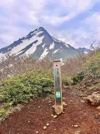 【北海道利尻島】北の最果て利尻山⛰️