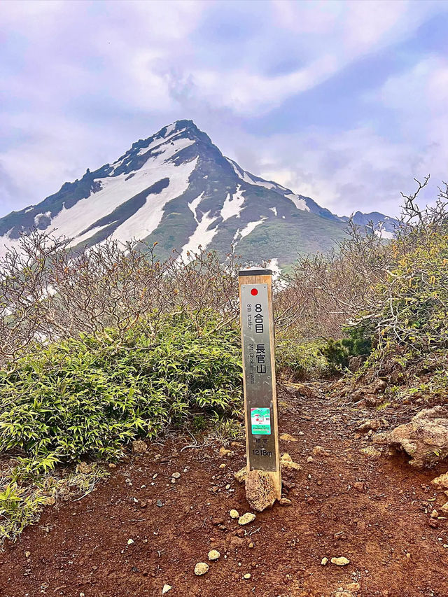 【北海道利尻島】北の最果て利尻山⛰️