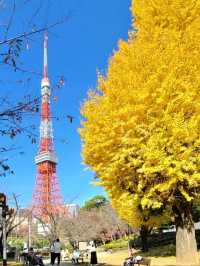 더 프린스 파크타워 도쿄(ザ・プリンス パークタワー東京) 로비라운지(ロビーラウンジ)