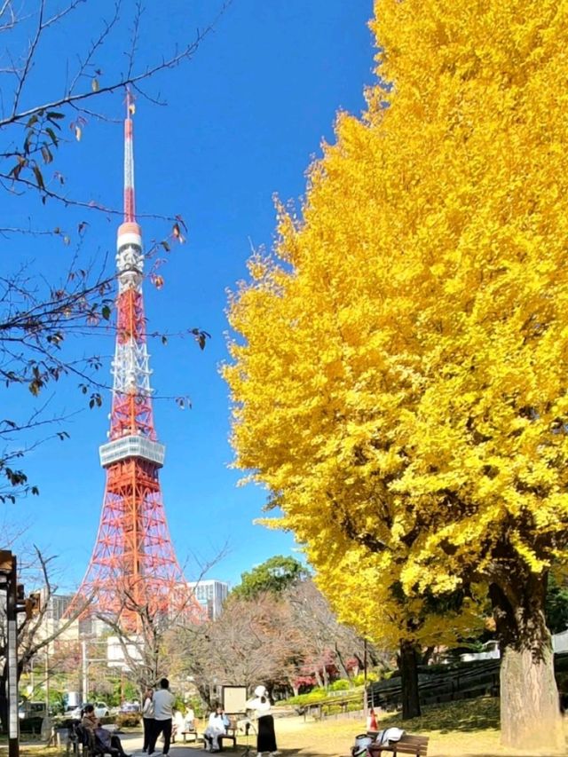 더 프린스 파크타워 도쿄(ザ・プリンス パークタワー東京) 로비라운지(ロビーラウンジ)