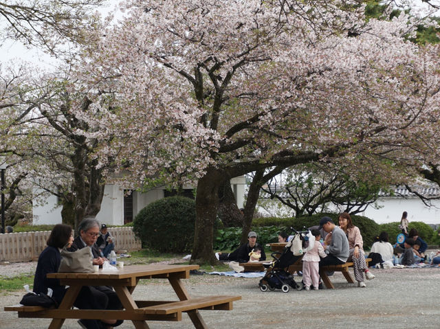Odawara castle 